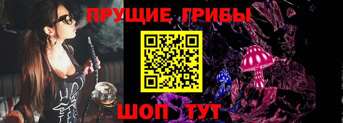 Глазов  Псилоцибиновые грибы мицелий  Вход с VPN 